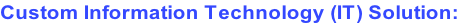 Custom Information Technology (IT) Solution: